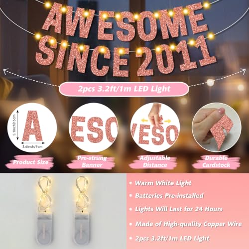 Rose Gold 15th Birthday Decorations with LED Lights | Awesome Since 2011 Banner