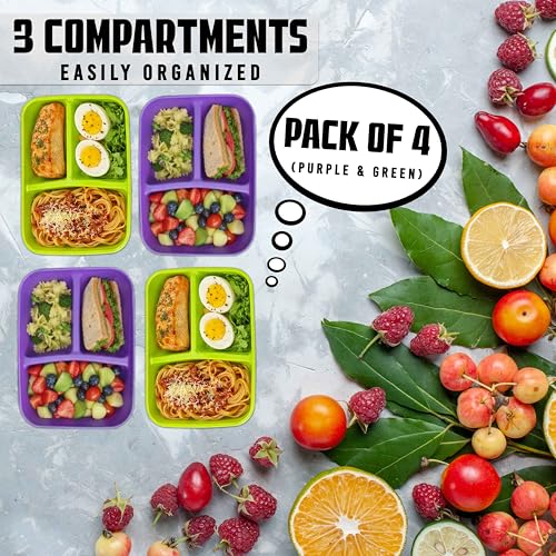 Neez 3-Compartment Lunch Containers - 48oz Bento Box Set for Adults
