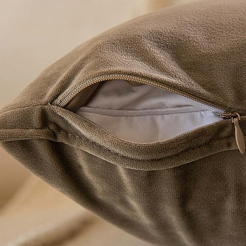Velvet Decorative Pillow Covers Set of 2 with Hidden Zipper