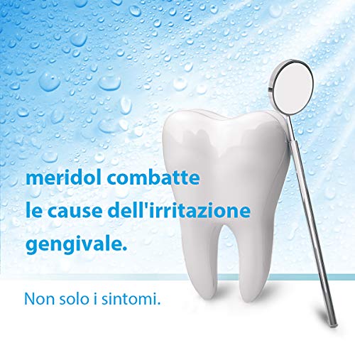 Meridol Gum Protection Toothpaste - 75ml Daily Oral Care