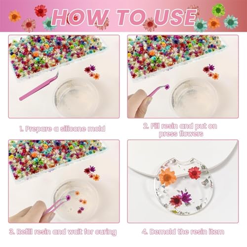 800 PCS Mini Dried Pressed Flowers for Crafting | Natural Real Flowers with Tweezers
