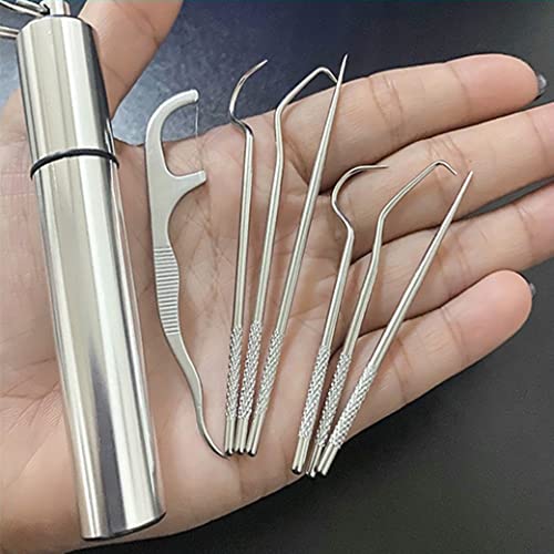 Reusable Stainless Steel Toothpick Set for Teeth Cleaning with Holder - Portable Dental Picks for Travel & Outdoor Use