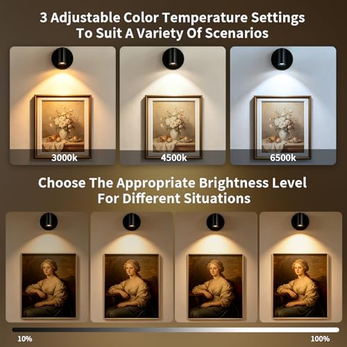 Rechargeable Indoor Spotlight with Remote | Dimmable 3-Color LED Picture Light