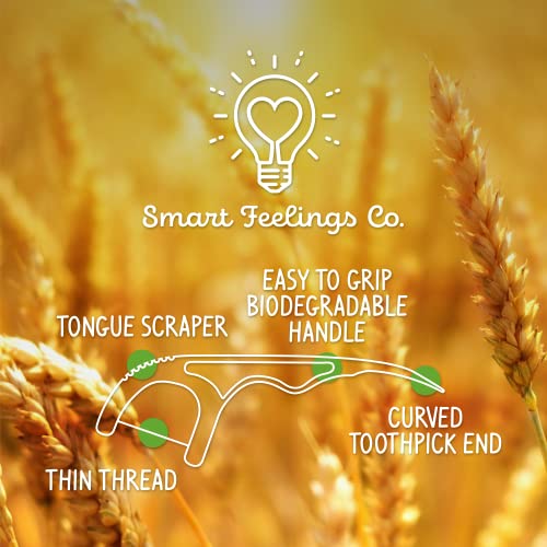 Biodegradable Dental Floss Picks - Eco-Friendly Cornstarch & Bamboo, 200 Count