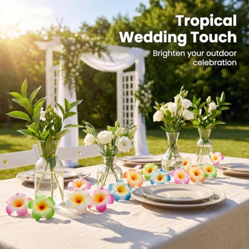 10 Pcs Multicolor Plumeria Flower Hair Clips - Tropical Barrettes