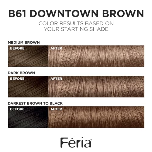 L'Oreal Paris Feria Downtown Brown Permanent Hair Color Kit