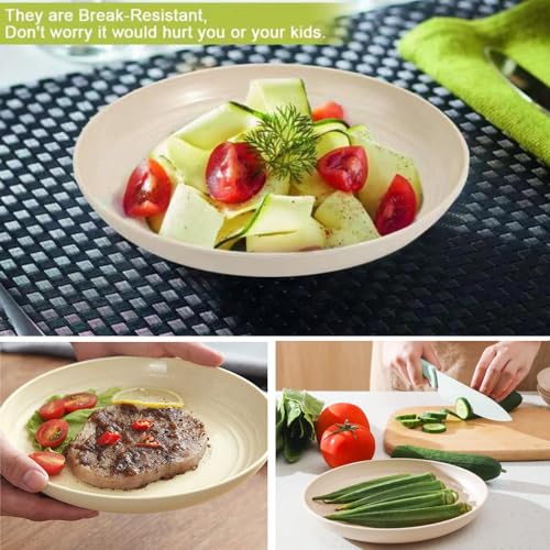 K Y KANGYUN 10 Inch Unbreakable Wheat Straw Dinner Plates Set of 4