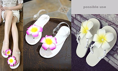 HipGirl 6pc Plumeria Hair Clips Set – 2.5in Hawaiian Flower Hair Barrettes for Women & Girls