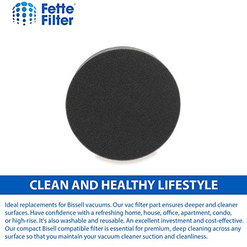 Fette Filter Vacuum Filter for Bissell 1608225 & Eureka DCF-26 (4-Pack)