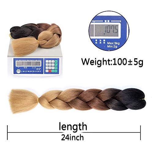 SHUOHAN 24 Inch Jumbo Braiding Hair Extensions - Black to Purple to Rose (6 Pack)