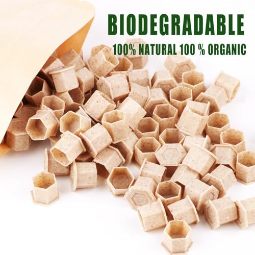 DGT Biodegradable Tattoo Ink Cups - Small Eco-Friendly Caps