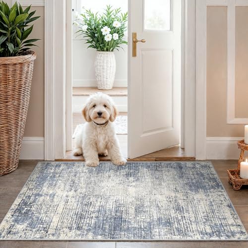 2x3 Washable Abstract Door Mat - Non-Slip Rug for Entryway & Kitchen