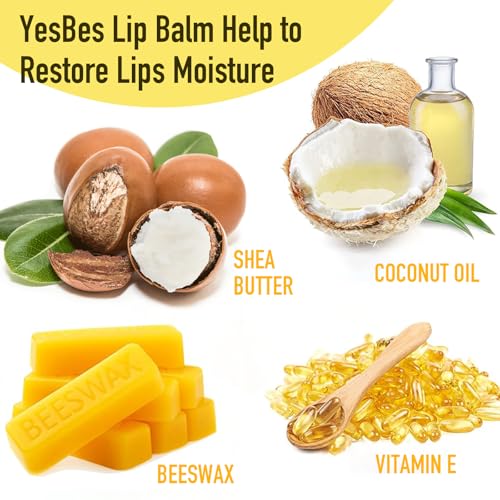 YesBes 16 Pack Natural Lip Balm with Vitamin E & Coconut Oil