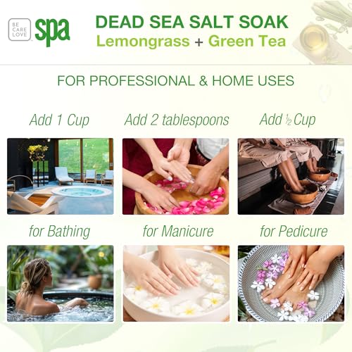 BCL SPA Dead Sea Salt Bath Soak with Organic Lemongrass & Green Tea 16oz