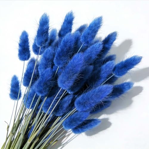 120pcs Blue Dried Bunny Tail Pampas Grass for Boho Decor