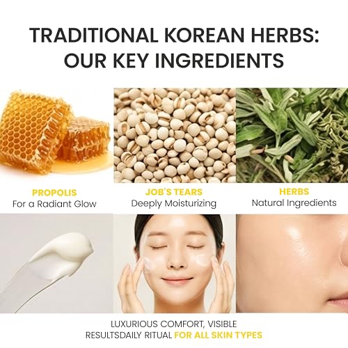 Baegayul ORIGIN Citrus Face Moisturizer Cream - Korean Hydration for Dry, Sensitive Skin 2.71 fl oz