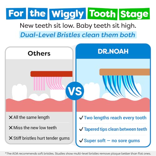 Dr. Noah Stage 2 4-Pack Bamboo Kids Toothbrushes – 4+ Dentist-Designed, Microplastic-Free