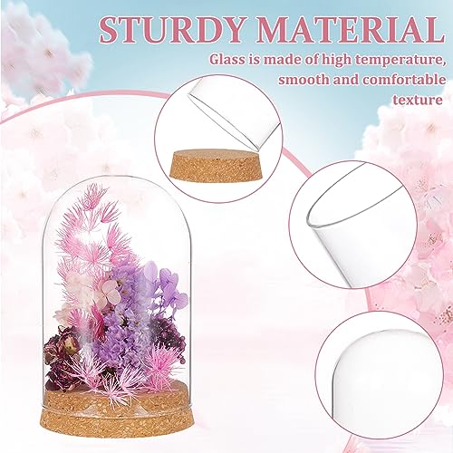 BENECREAT Set of 2 Glass Display Domes with Cork Base - 3.14x4.6 inch Cloche Jars for Flowers & Crafts