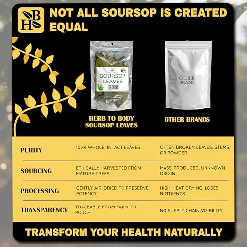 Organic Soursop Leaves for Tea - 50g Dried Graviola Leaves