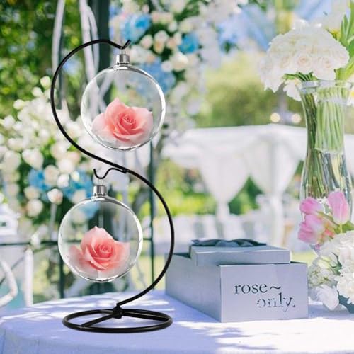 13-Inch Black Metal Ornament Display Stand with Two Hooks