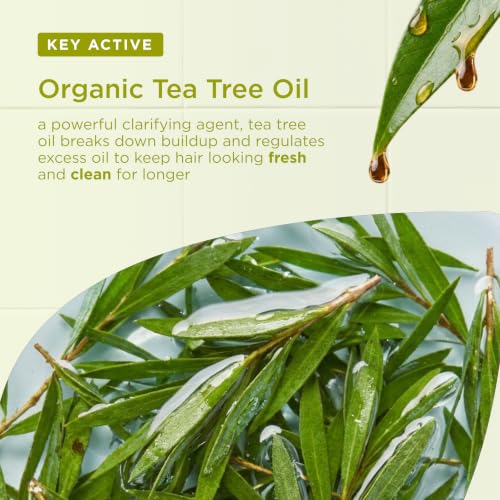Organic Tea Tree Shampoo with Aloe Vera & Peppermint - 9 oz