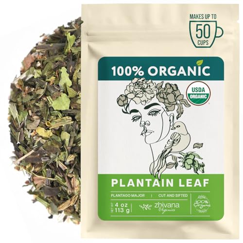 Organic Plantain Leaf Tea 4oz - Herbal Digestive & Detox Support