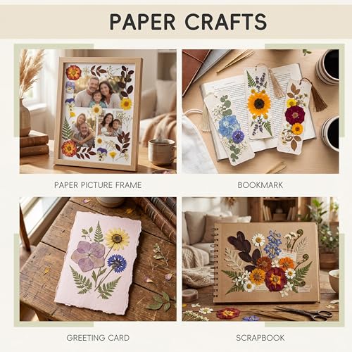 LUXEEASE Vintage Pastel Dried Pressed Flowers for Crafts