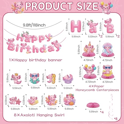 Axolotl Birthday Party Decorations - 22 Pcs Kit with Banners & Swirls