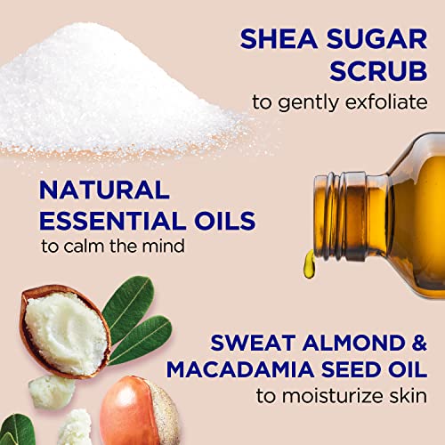 Body Prescriptions Men¡¯s Exfoliating Body Scrub ? Ultimate Skin Cleansing Wash in Jar with Twist-Top Lid, For All Skin Types, 21 Ounce (Pack of 1), Charcoal