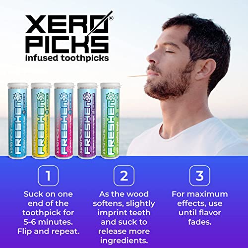 Xero Picks Freshen Infused Flavored Toothpicks - Cooling Breath Freshener, 100 Picks, 5-Pack Variety