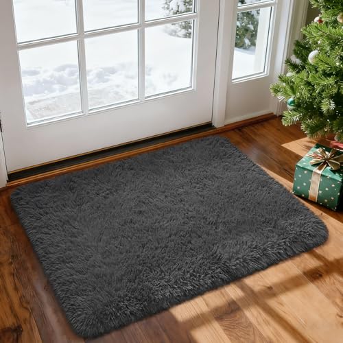 Fluffy Dark Grey Area Rug 2x3 - Soft Shaggy Doormat for Bedroom & Living Room