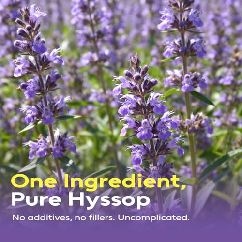 FullChea Hyssop Tea Bags - 50 Count Herbal Infusion, Caffeine-Free