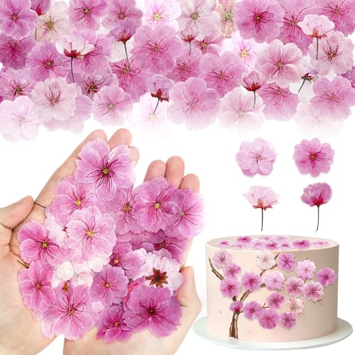 80 Pcs Natural Dried Cherry Blossoms - Edible Flower Decorations for Baking & Crafts
