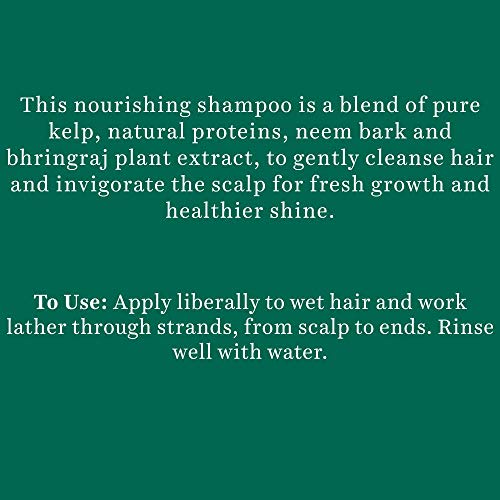Biotique Kelp Protein Shampoo for Hair Fall - 340ml Natural Hair Care