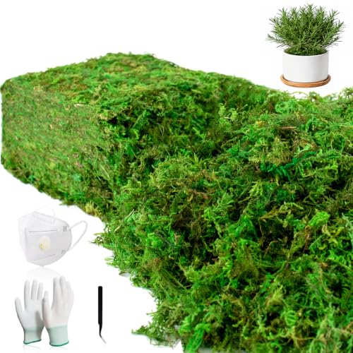 10oz Artificial Green Moss for Crafts | Includes Gloves & Tweezers
