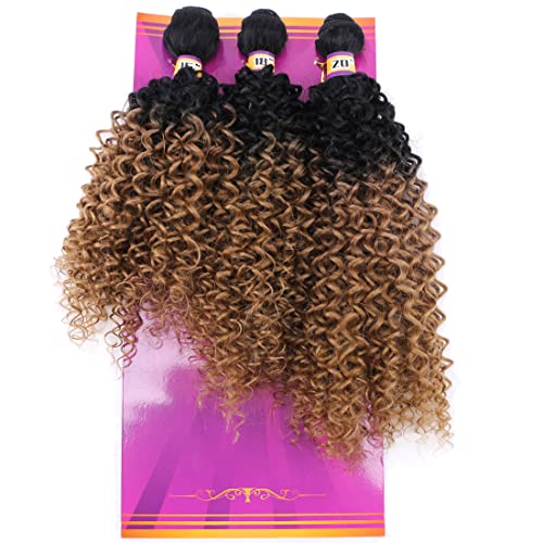 REYNA Golden Ombre Afro Kinky Curly Hair Bundles - 3 Piece Set (16/18/20 Inches)