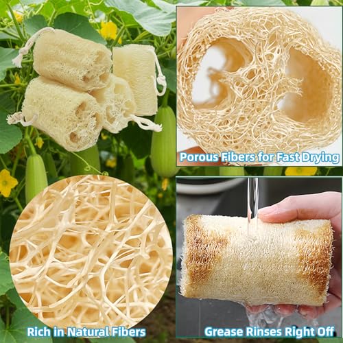 Natural Loofah Exfoliating Body Sponge - 4 Pack for Bath & Shower