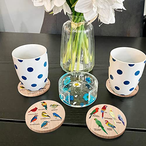 Bird-Themed Bamboo Wood Coasters Set of 6 with Holder
