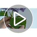 20-Inch Light Blue Artificial Hydrangea Flowers - 3 Pcs Real Touch