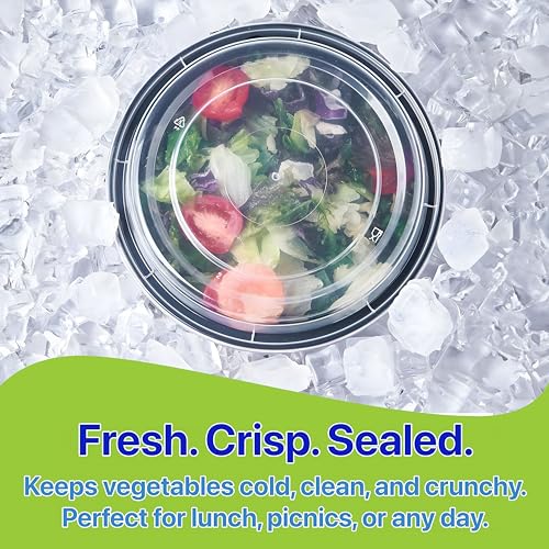 Meal Prep Containers Round Set of 10 - 32 oz, Leakproof & Stackable