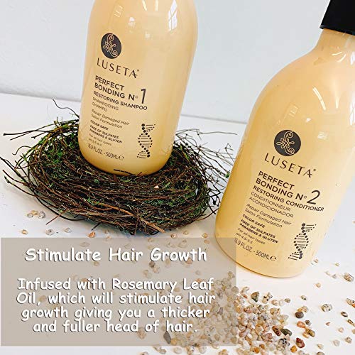 Luseta Perfect Bonding Restoring Shampoo, Sulfate-Free for Damaged Hair 16.9oz