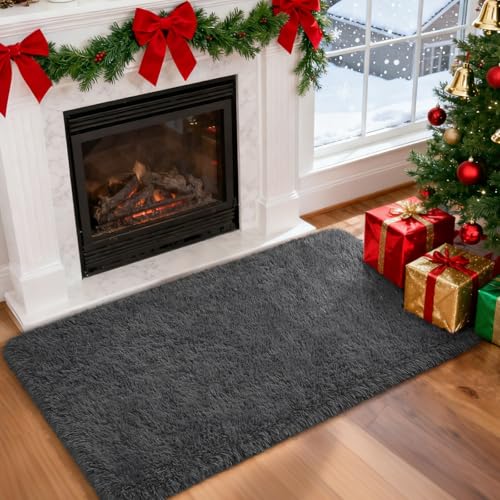 Fluffy Dark Grey Area Rug 2x3 - Soft Shaggy Doormat for Bedroom & Living Room