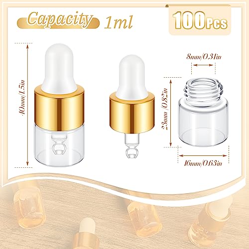 Didaey 1ml Champagne Gold Mini Glass Oil Dropper Bottles Set of 100