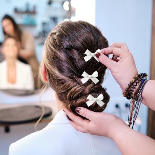 24-Piece Mini Bowknot Hair Clips Set for Women & Girls