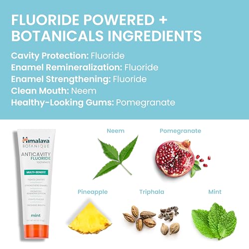 Himalaya Botanique Anticavity Fluoride Toothpaste, Mint, 4 oz (2 Pack)