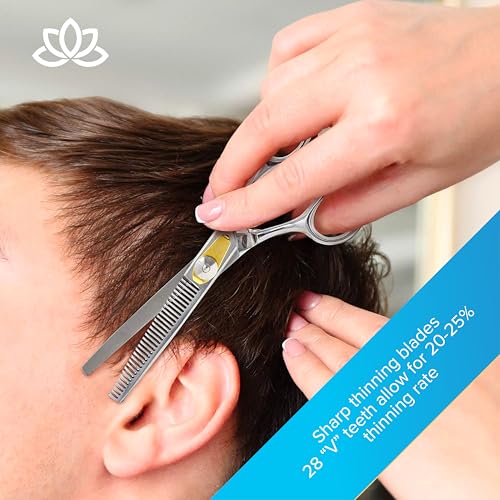 Equinox Professional 6.5" Hair Cutting & Thinning Scissor Set