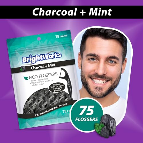 BrightWorks Eco-Friendly Charcoal Mint Floss Picks - 225 Count