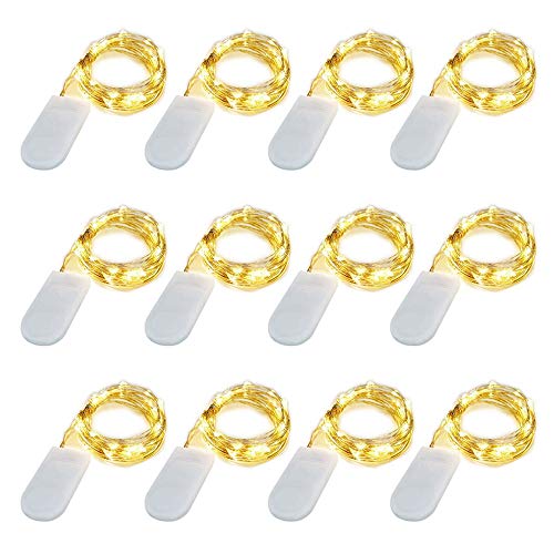 LIIDA LED Fairy String Lights - 12-Pack Mini Lights on Copper Wire