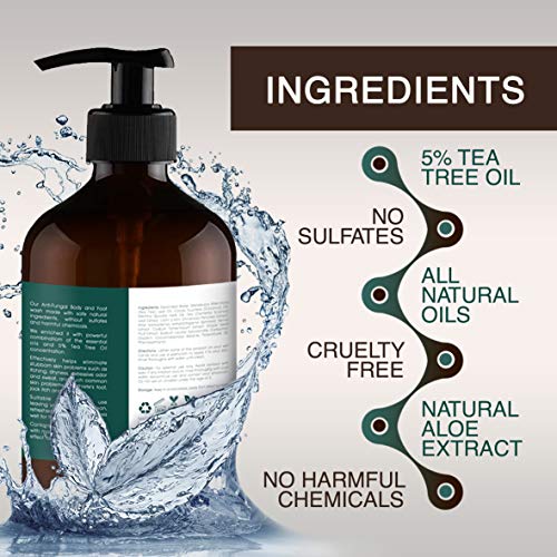 Tea Tree Oil Body Wash - Moisturizing Aloe for Acne & Itchy Skin - 16oz