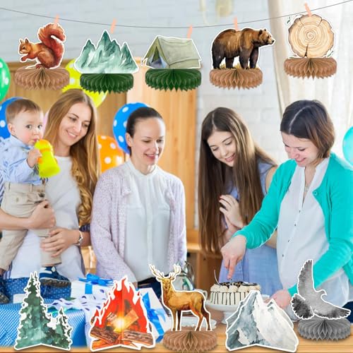 Adventure Awaits Party Decorations - 10 Honeycomb Ball Set